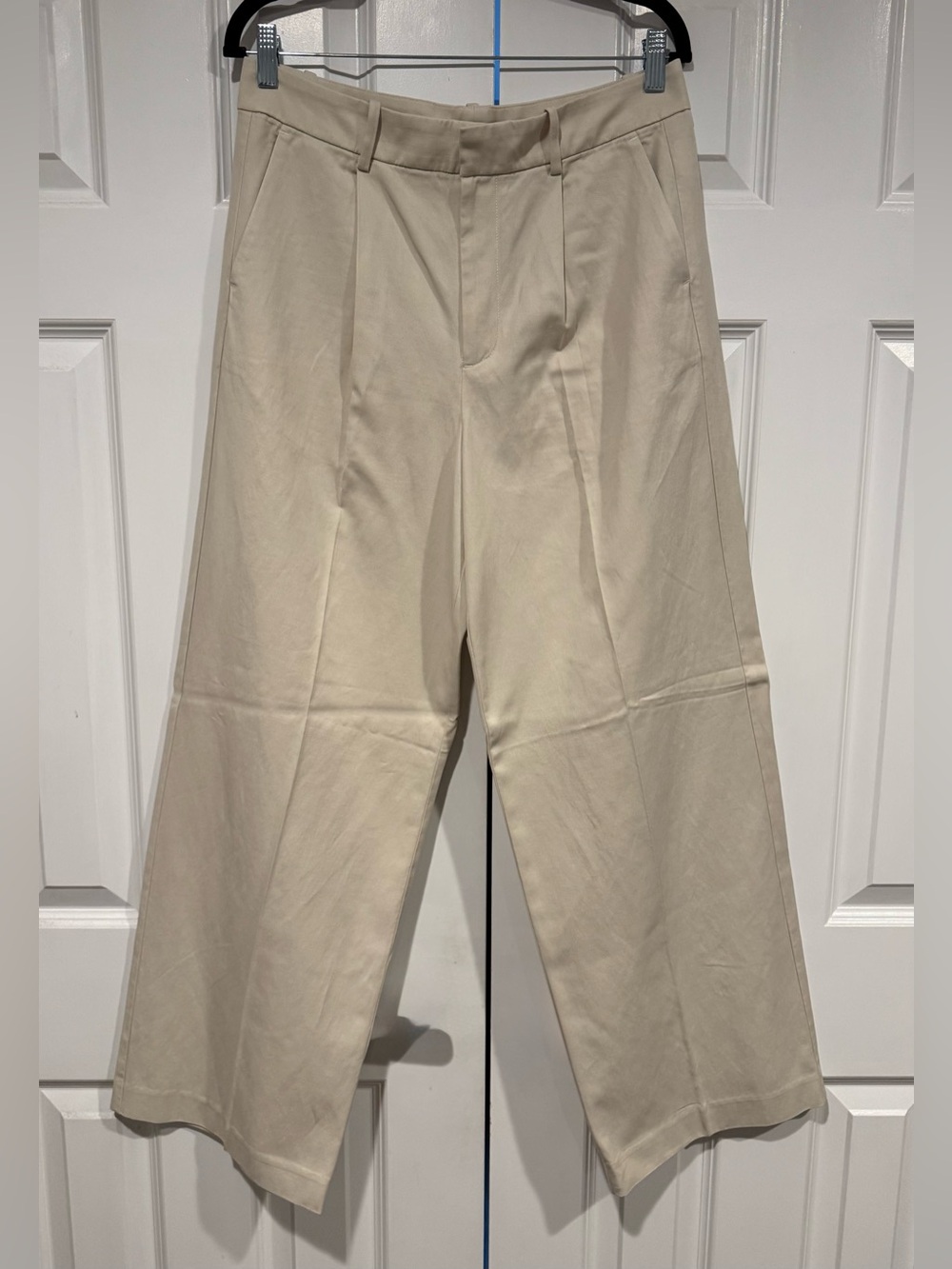 Madewell Slouchy Pleated Pants NWOT US6